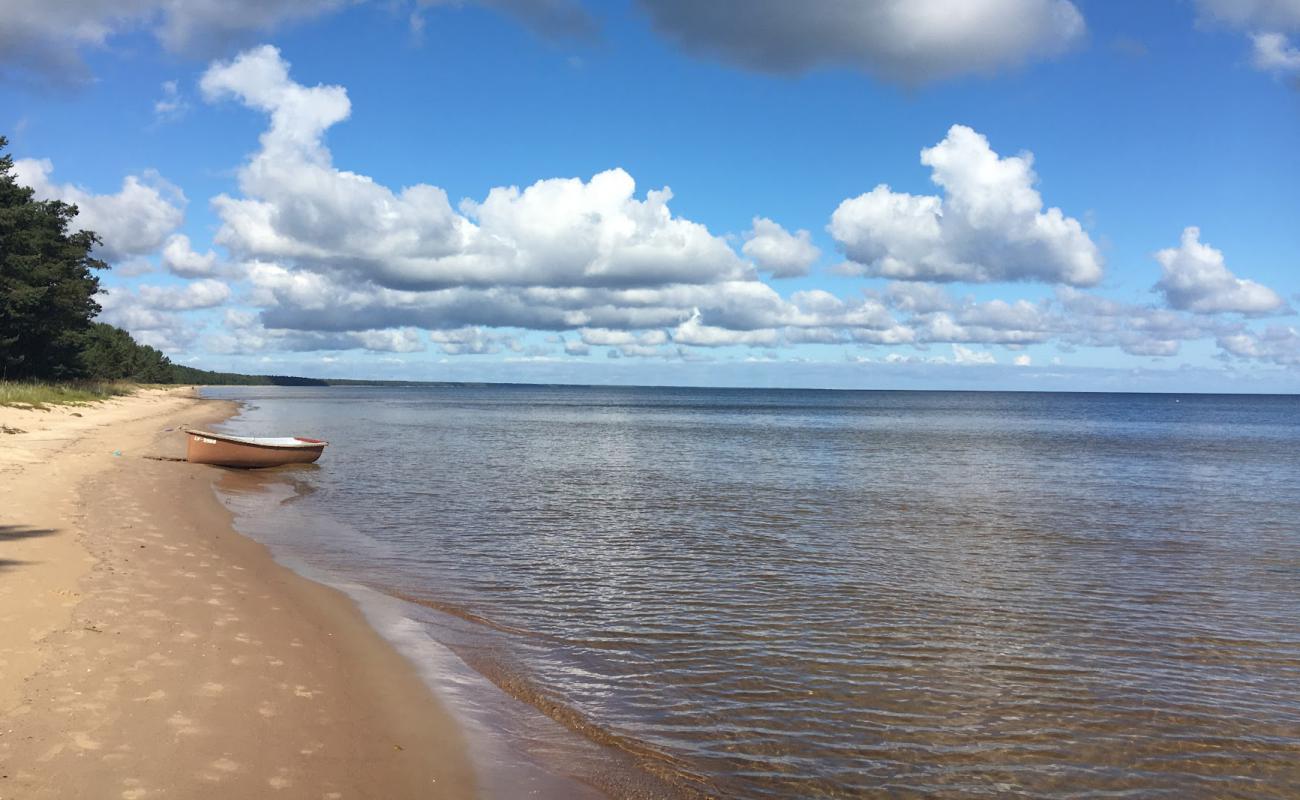 Balta kapa beach'in fotoğrafı parlak kum yüzey ile