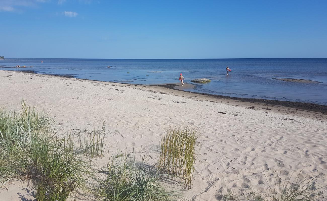 Upesgriva beach'in fotoğrafı açık bej kum yüzey ile