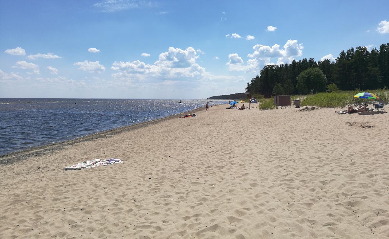 Abragciems beach'in fotoğrafı açık bej kum yüzey ile