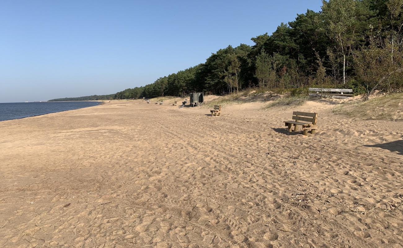 Saulkrasti beach'in fotoğrafı açık bej kum yüzey ile