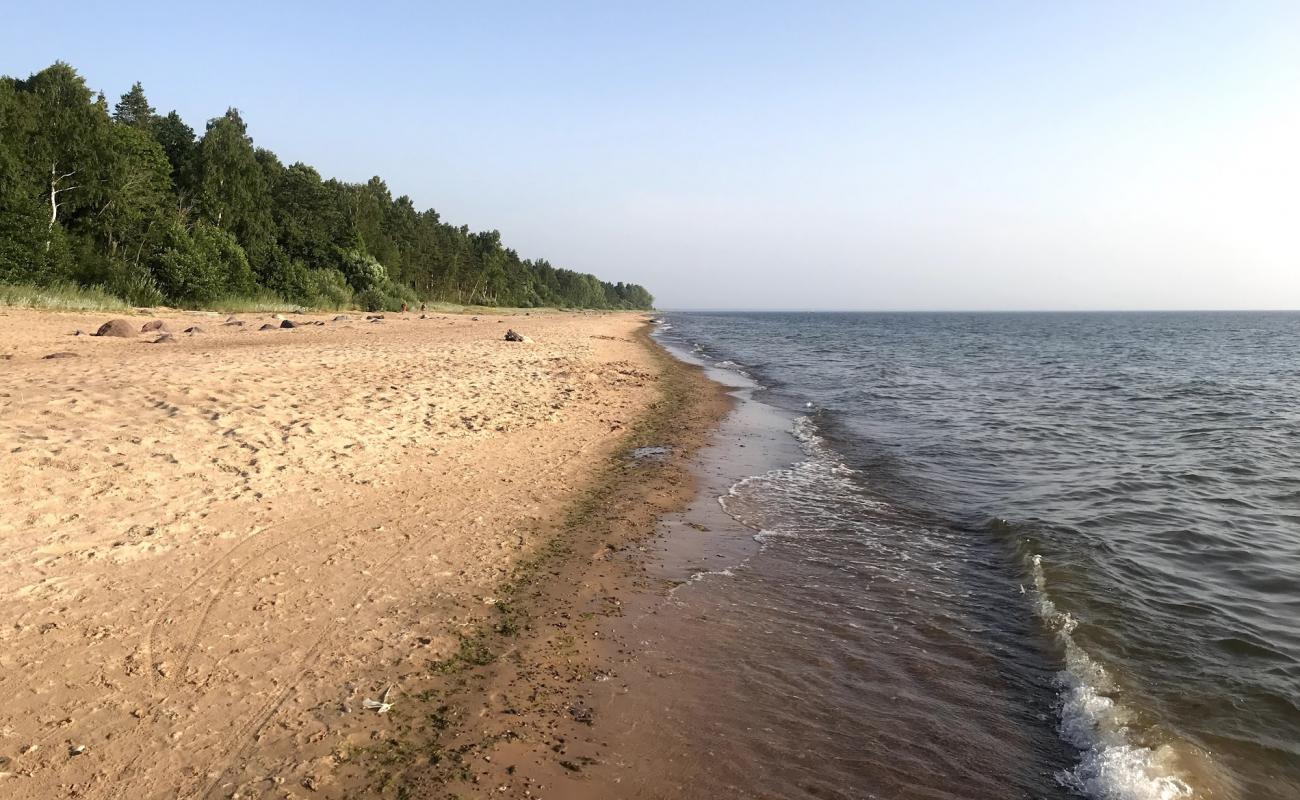 Laucu akmens pludmale'in fotoğrafı bej kum ve çakıl yüzey ile