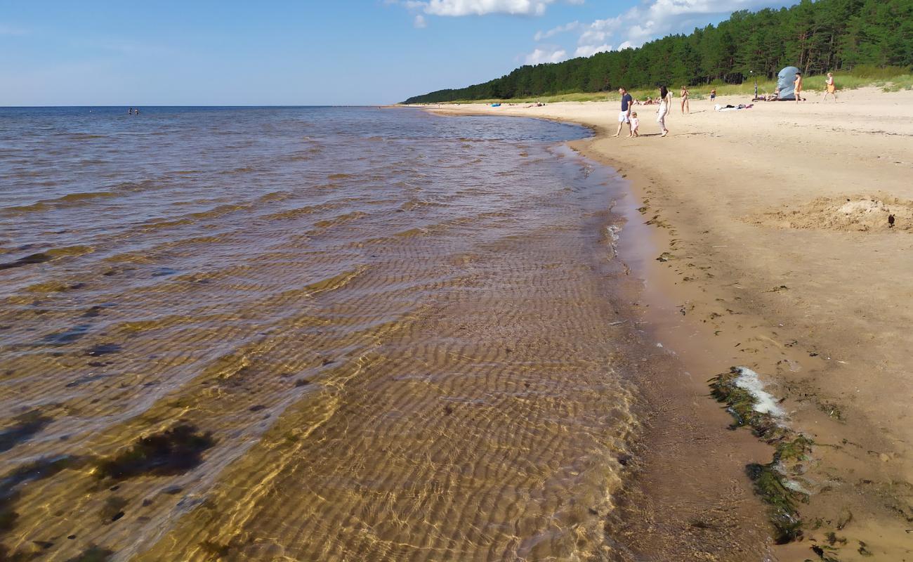 Salacgrivas beach'in fotoğrafı açık bej kum yüzey ile