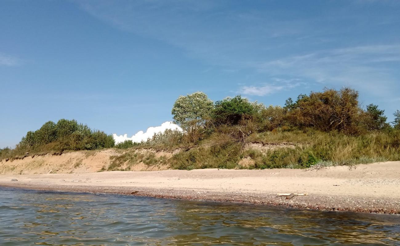 Palangos beach'in fotoğrafı bej kum ve çakıl yüzey ile