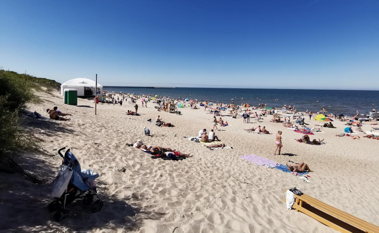 Palanga sahili'in fotoğrafı parlak ince kum yüzey ile