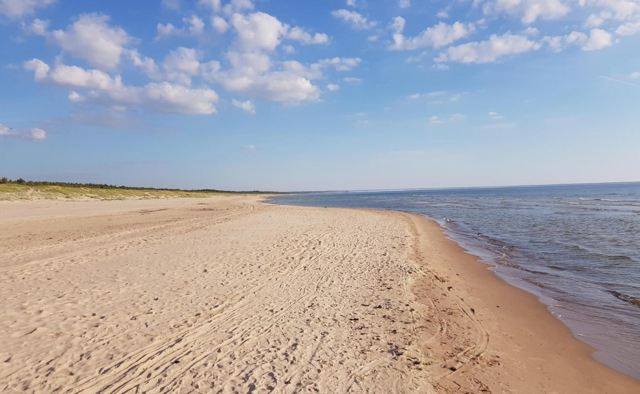 Sventosios naturist beach'in fotoğrafı i̇nce bej kum yüzey ile