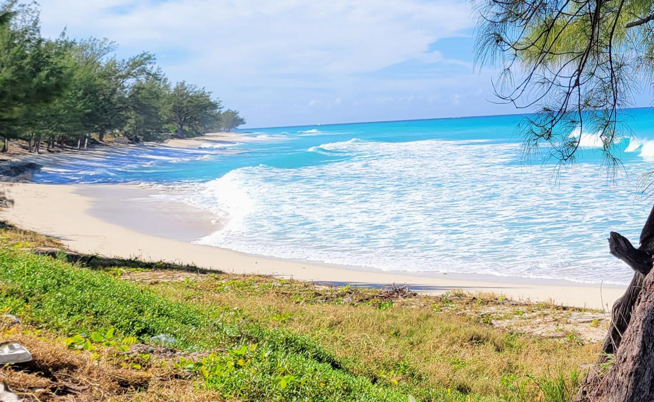 Alice Town beach'in fotoğrafı açık bej kum yüzey ile