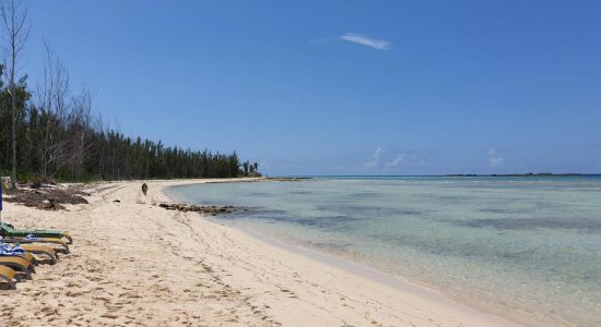 Xanadu beach