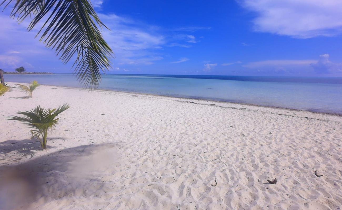 Barbary beach'in fotoğrafı i̇nce bej kum yüzey ile