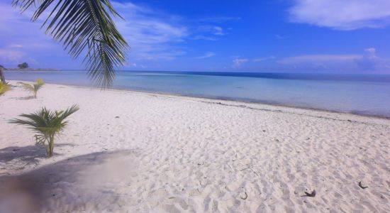 Barbary beach
