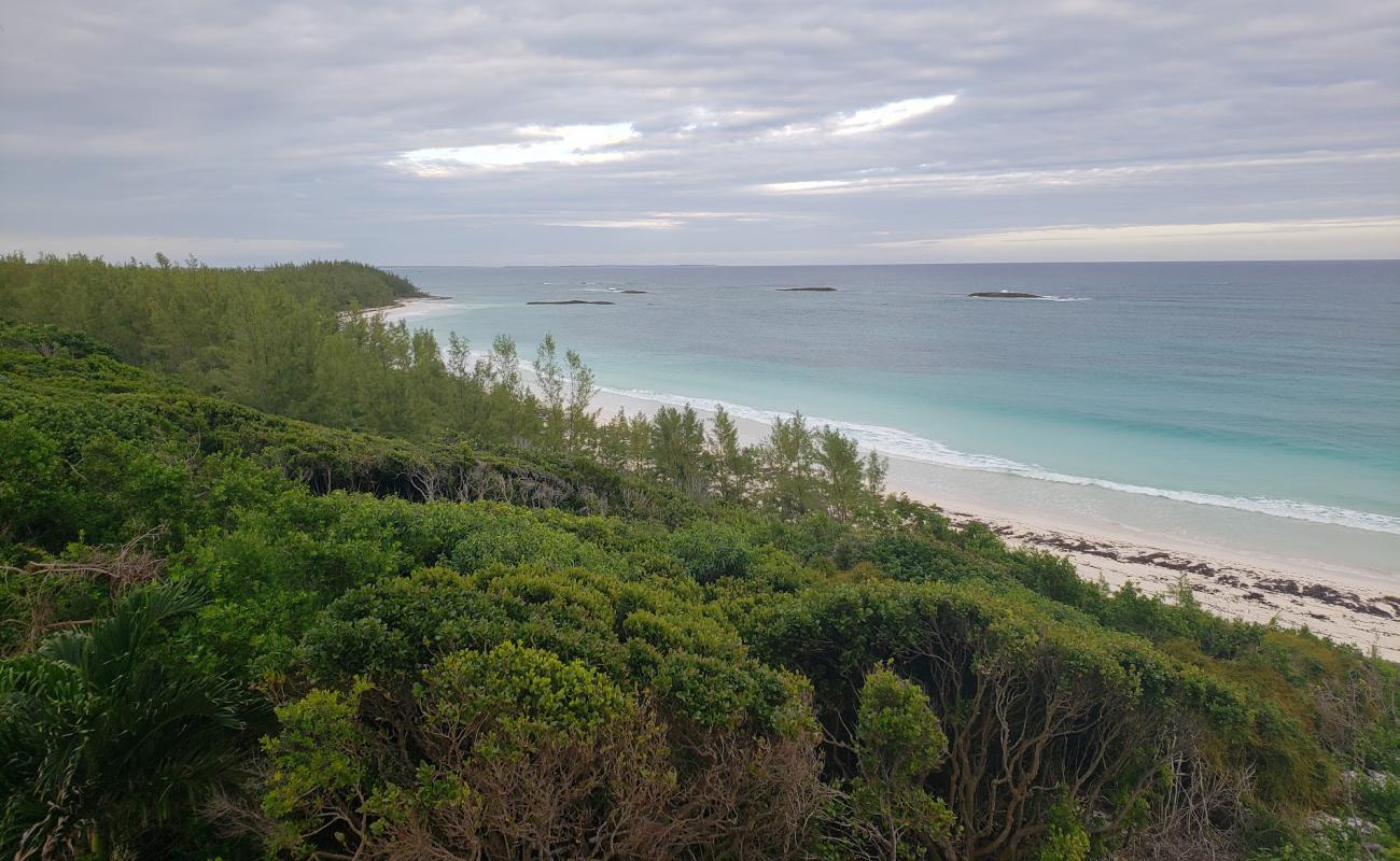 Great Abaco Hwy beach'in fotoğrafı i̇nce bej kum yüzey ile