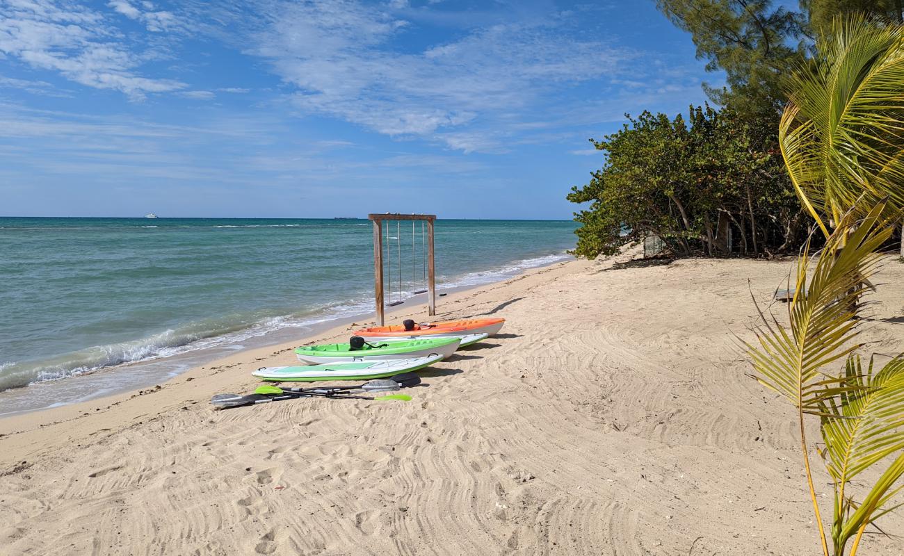 Adelaide beach'in fotoğrafı parlak ince kum yüzey ile