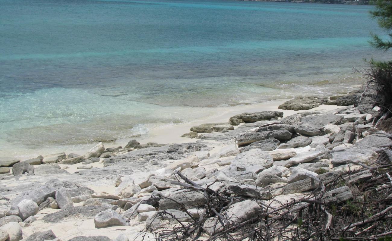 Flipper beach'in fotoğrafı parlak kum ve kayalar yüzey ile