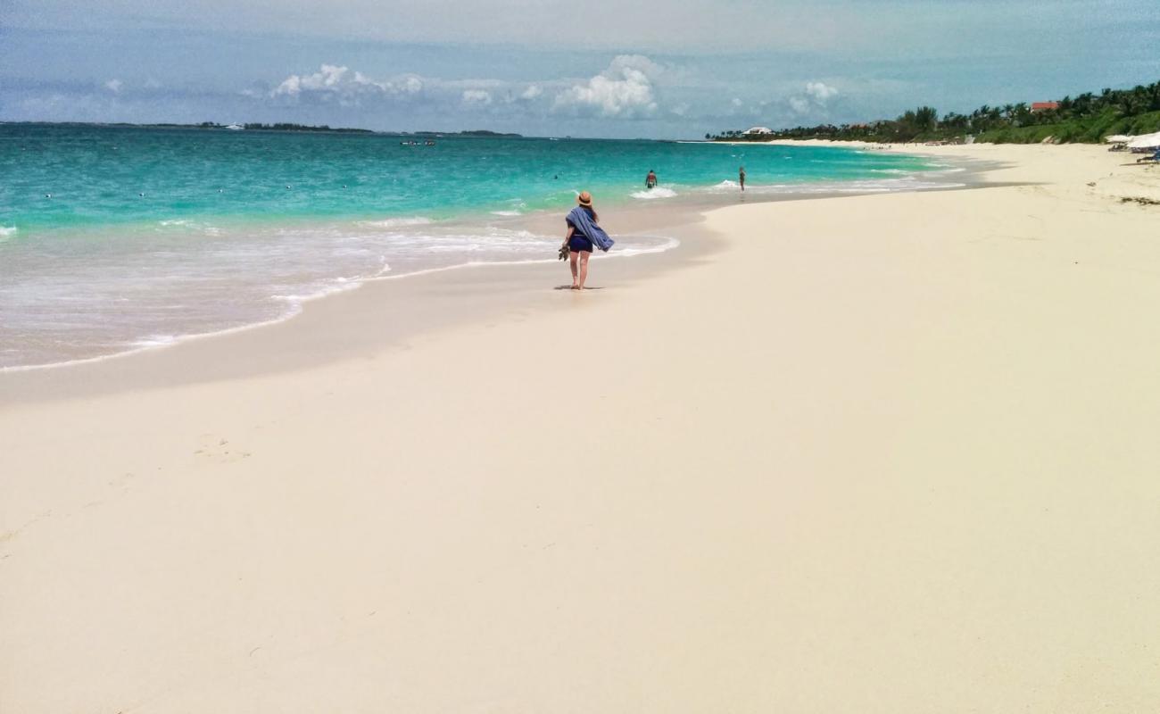 Cabbage beach'in fotoğrafı parlak ince kum yüzey ile