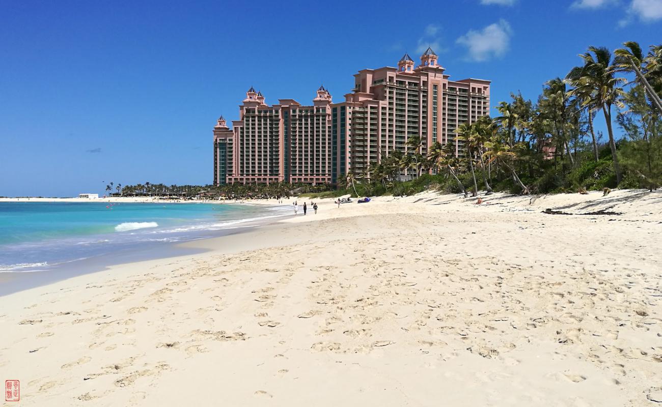 Paradise beach'in fotoğrafı parlak ince kum yüzey ile