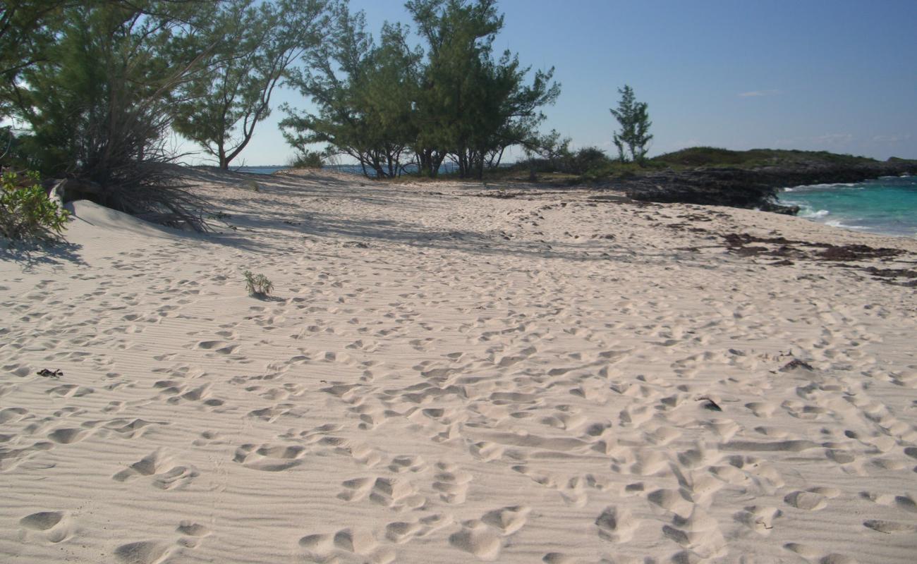 Rose Island beach'in fotoğrafı bej kum ve kayalar yüzey ile