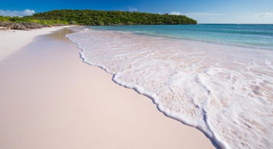 Cotton Bay beach