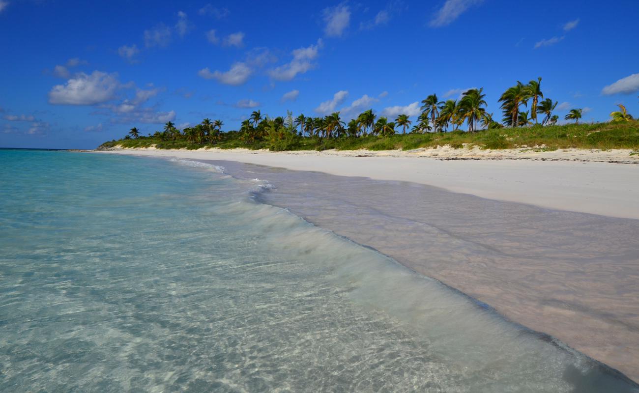 Winding Bay beach'in fotoğrafı i̇nce bej kum yüzey ile