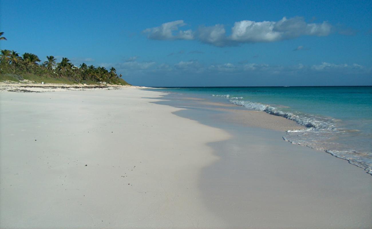 Double Bay beach'in fotoğrafı parlak ince kum yüzey ile