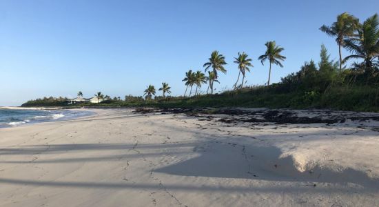 Double Bay beach II