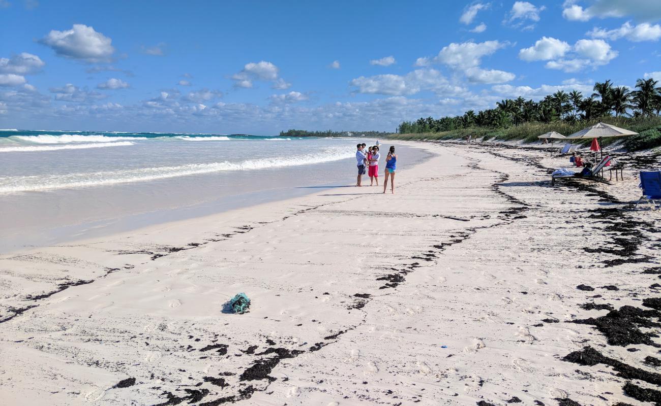 French Leave beach'in fotoğrafı parlak ince kum yüzey ile