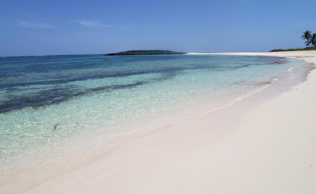 Twin Coves beach'in fotoğrafı parlak ince kum yüzey ile