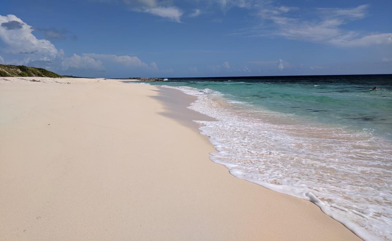 Surfer's beach'in fotoğrafı i̇nce bej kum yüzey ile