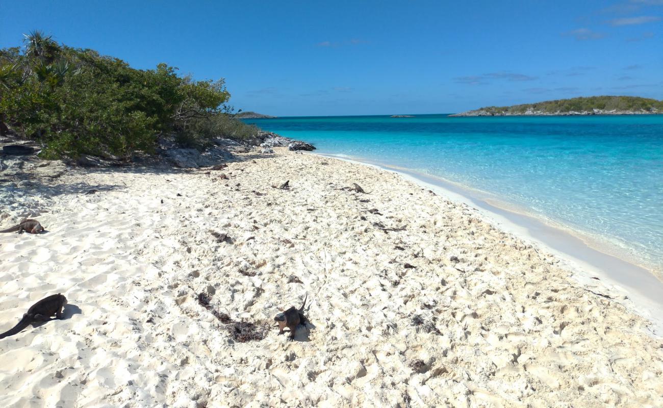 Iguana beach'in fotoğrafı i̇nce beyaz kum yüzey ile