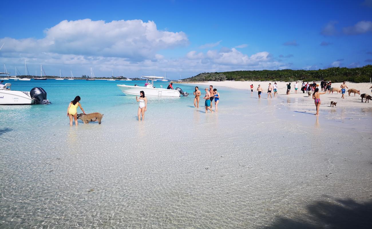 Pig beach'in fotoğrafı i̇nce beyaz kum yüzey ile