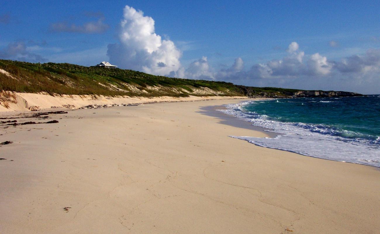 Crow's Nest beach'in fotoğrafı i̇nce beyaz kum yüzey ile