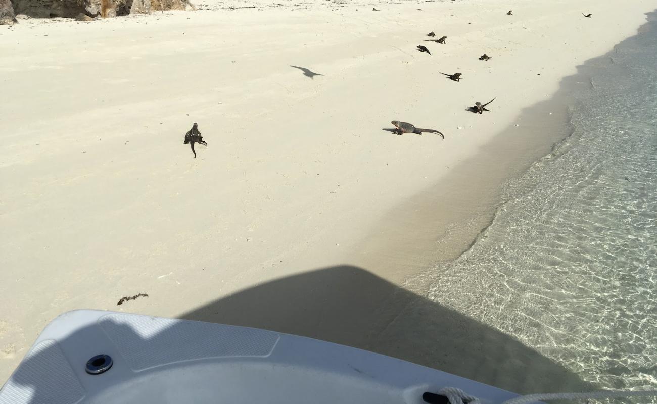 Guana Cay beach'in fotoğrafı i̇nce beyaz kum yüzey ile
