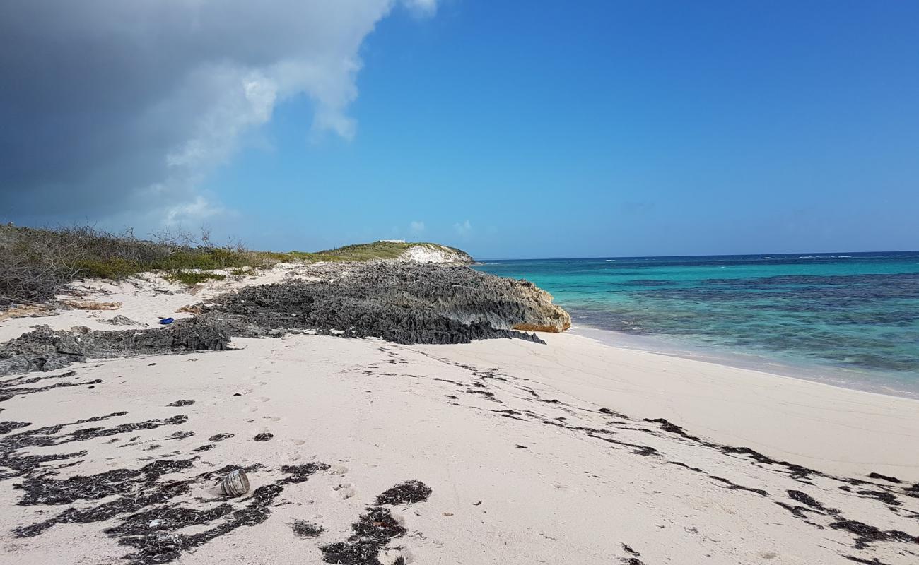 Sunrise Bay beach'in fotoğrafı #86 yüzey ile