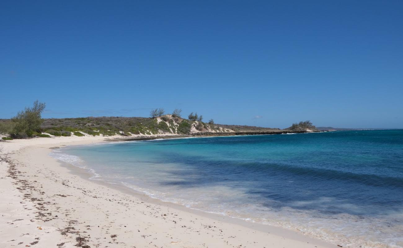 Beach angongo'in fotoğrafı açık bej kum yüzey ile