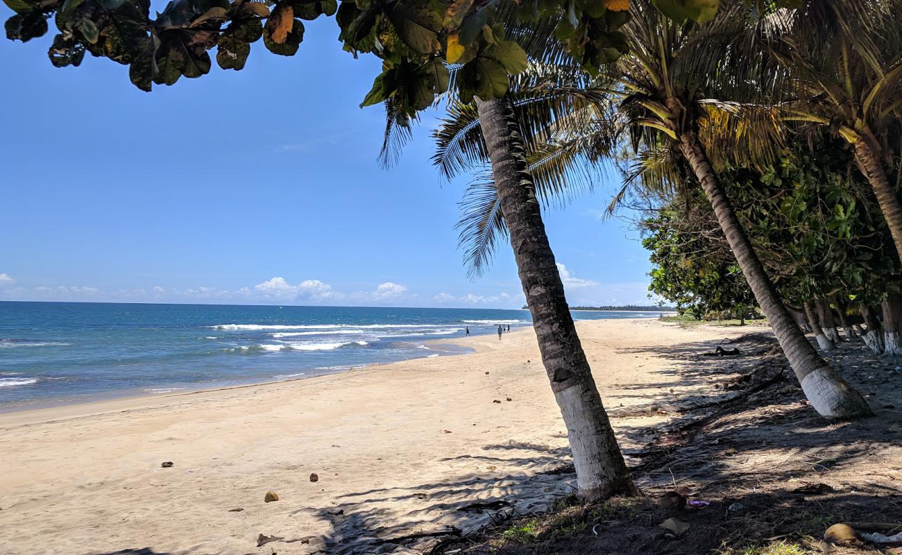 Plage Ampandrozonana'in fotoğrafı açık bej kum yüzey ile
