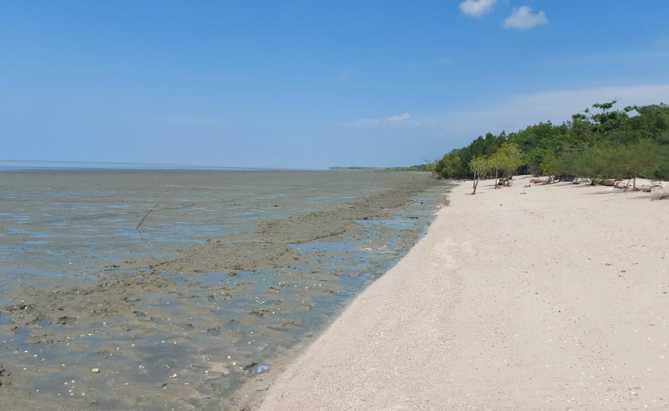 Sungai Kajang Beach'in fotoğrafı bej kabuklu kum yüzey ile