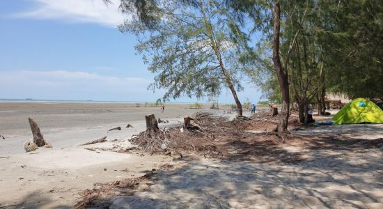 Tanjung Sepat Beach