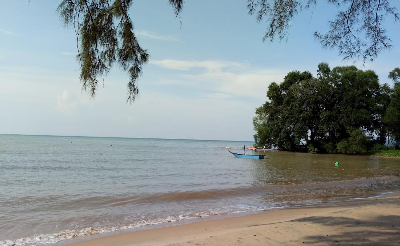 Telok Pelandok Beach'in fotoğrafı parlak kum yüzey ile