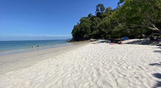 Sandy Skulls Beach