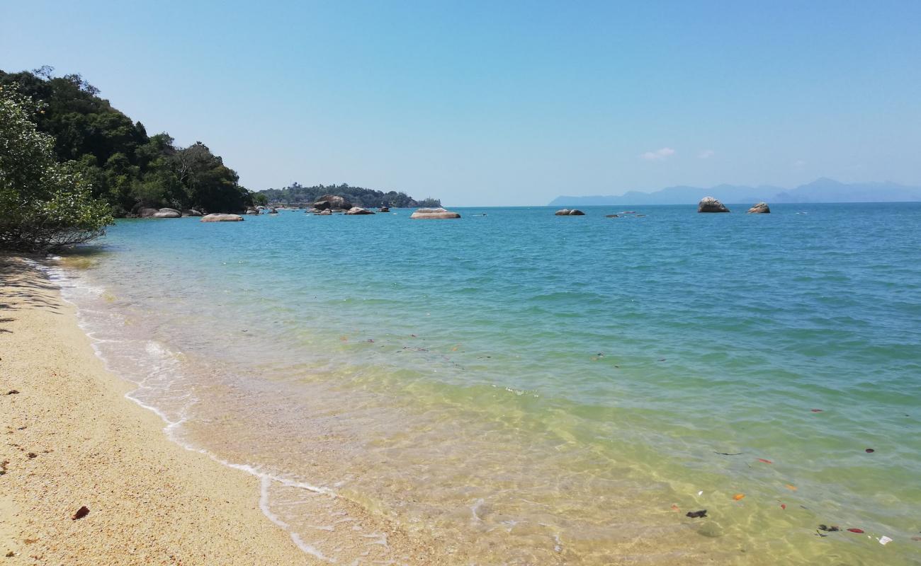 Wild Beach'in fotoğrafı açık bej kum yüzey ile
