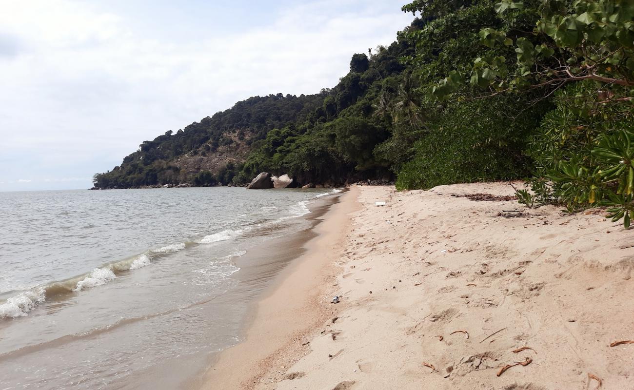 White Sand Beach'in fotoğrafı parlak kum yüzey ile