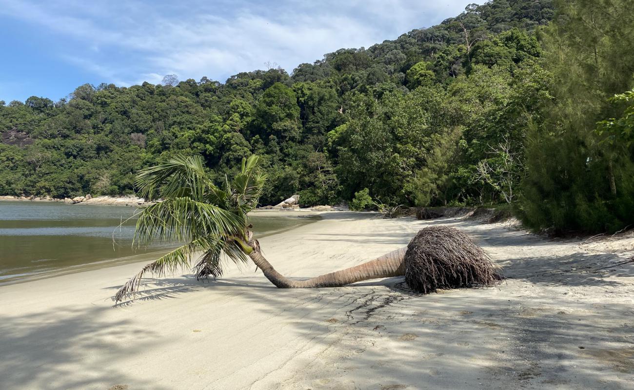 Teluk Kampi Beach'in fotoğrafı açık bej kum yüzey ile