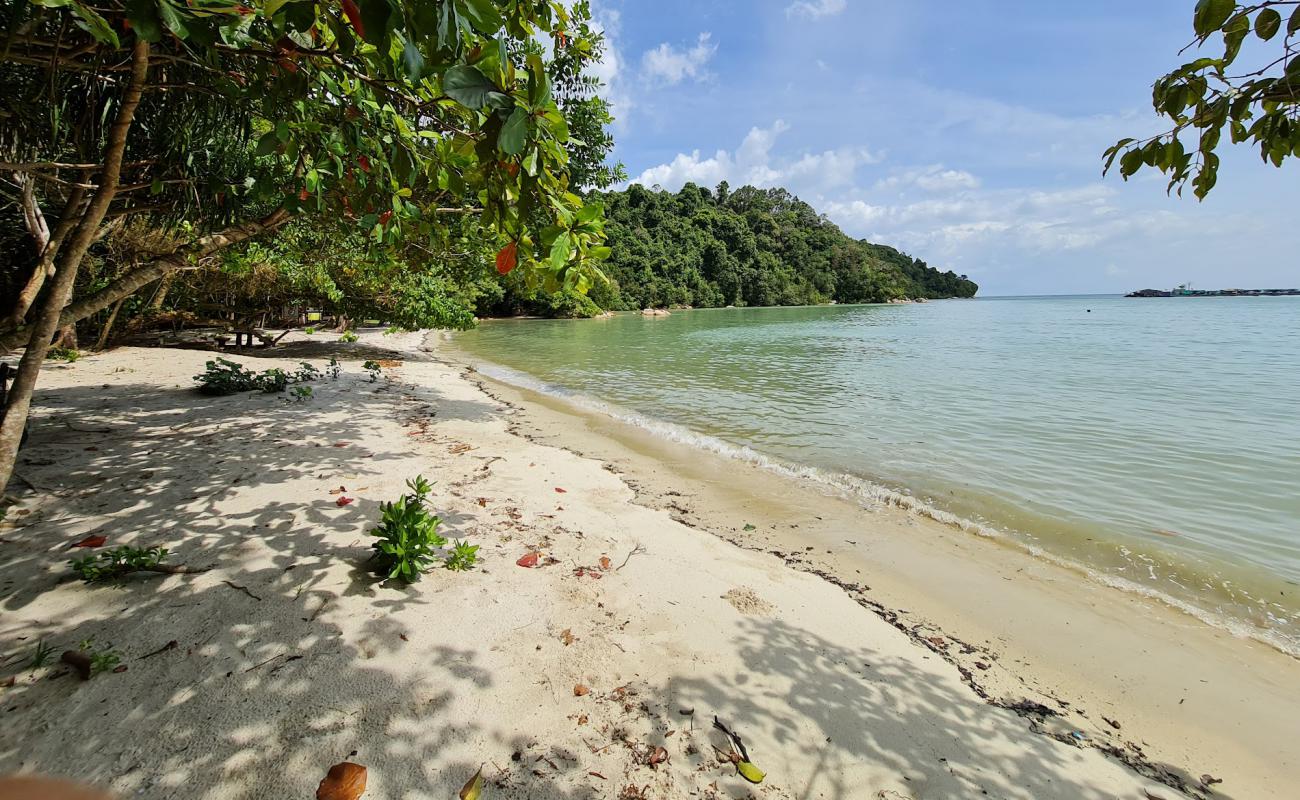 Adverlabs Beach'in fotoğrafı açık bej kum yüzey ile