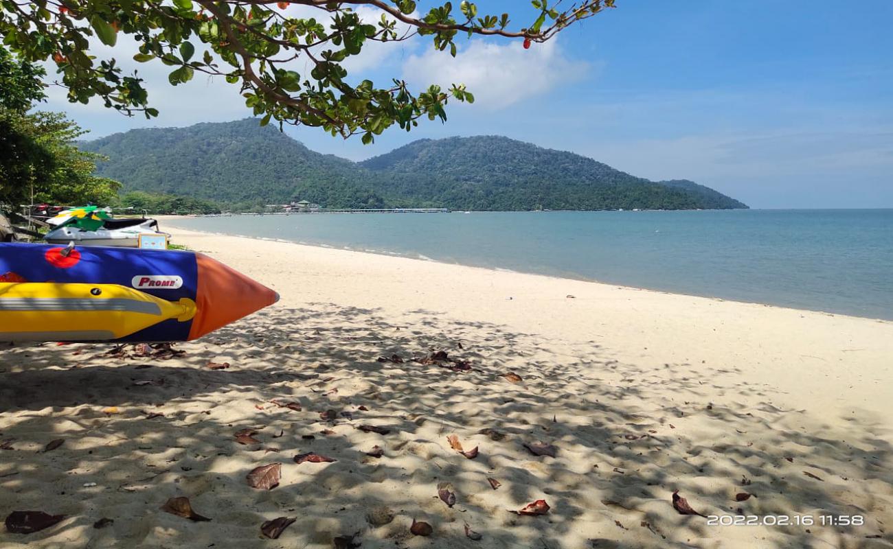 Teluk Bahang Beach'in fotoğrafı açık bej kum yüzey ile