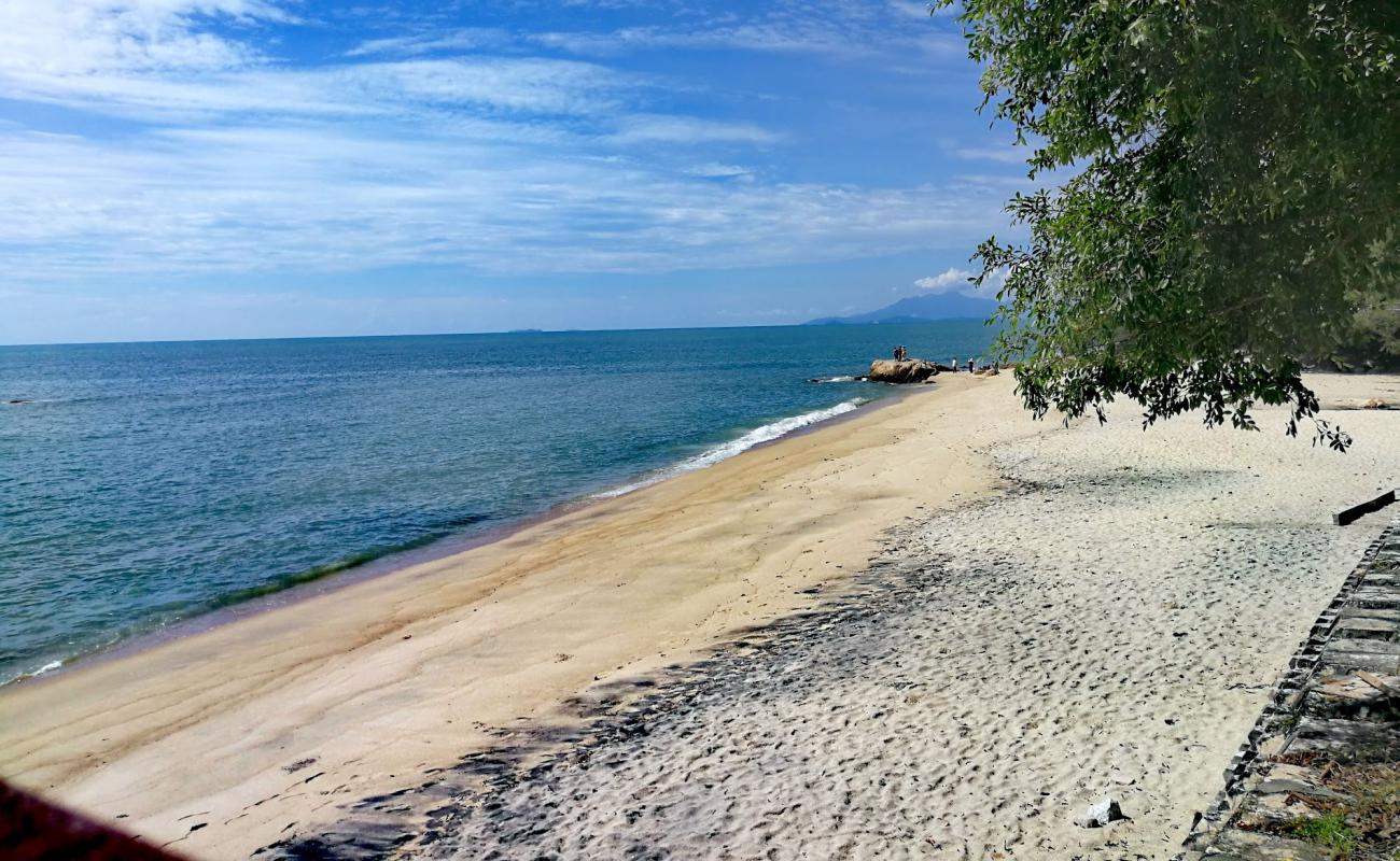 Tropical Beach'in fotoğrafı açık bej kum yüzey ile