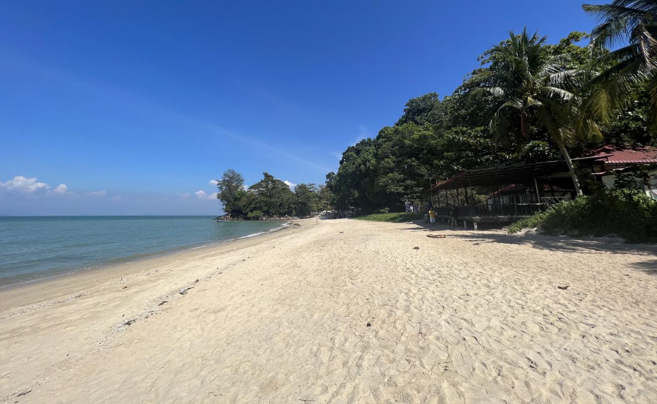 Moonlight Bay beach'in fotoğrafı açık bej kum yüzey ile