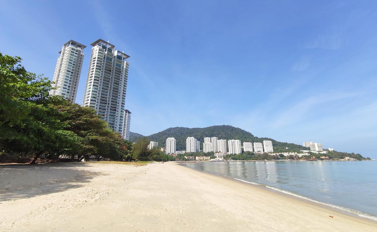 Tanjung Bungah Beach'in fotoğrafı parlak kum yüzey ile