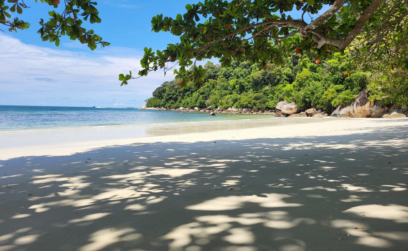 Teluk Segadas Beach'in fotoğrafı parlak kum yüzey ile