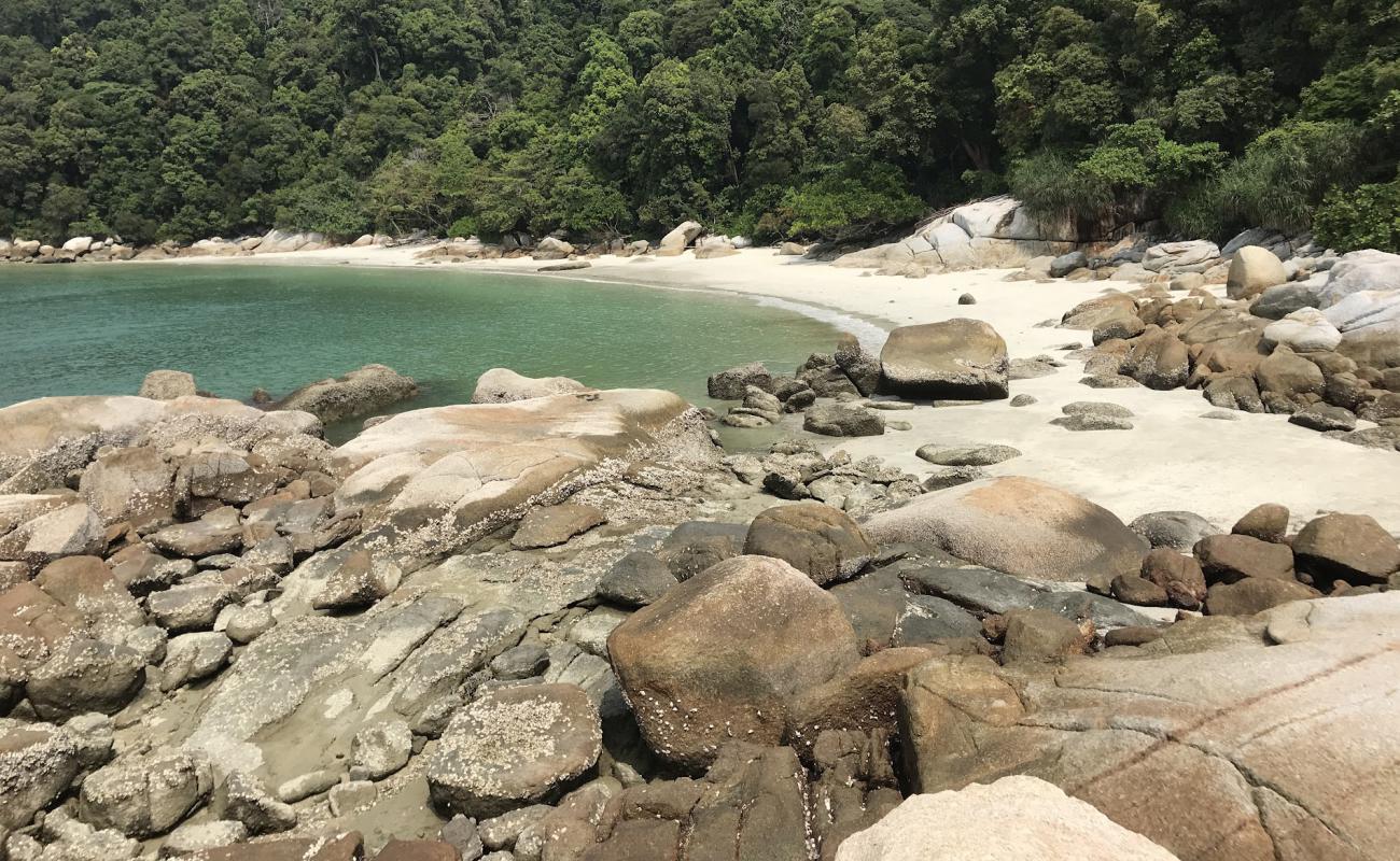 Coral Beach'in fotoğrafı açık bej kum yüzey ile