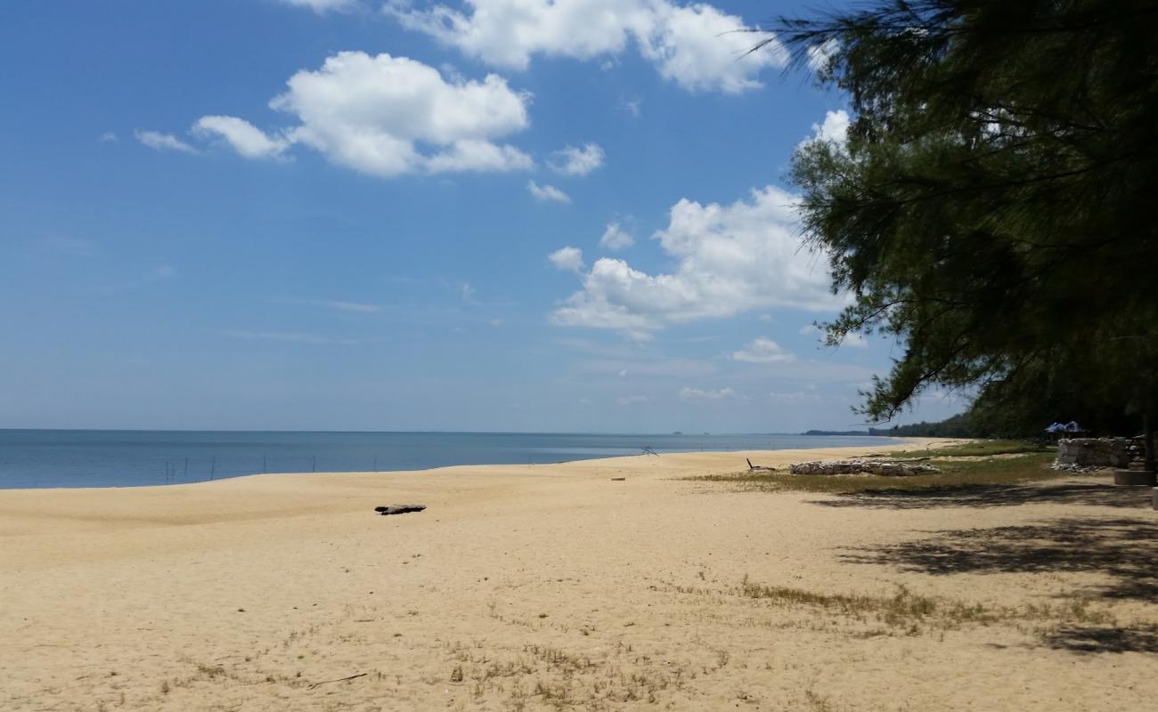 Rantau Panjang Beach'in fotoğrafı parlak kum yüzey ile