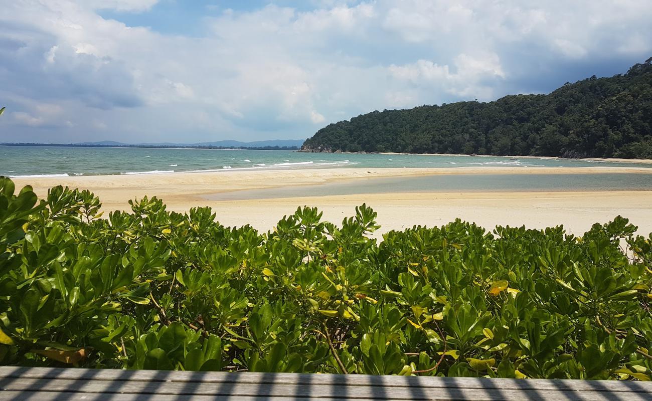 Cherating beach'in fotoğrafı parlak kum yüzey ile