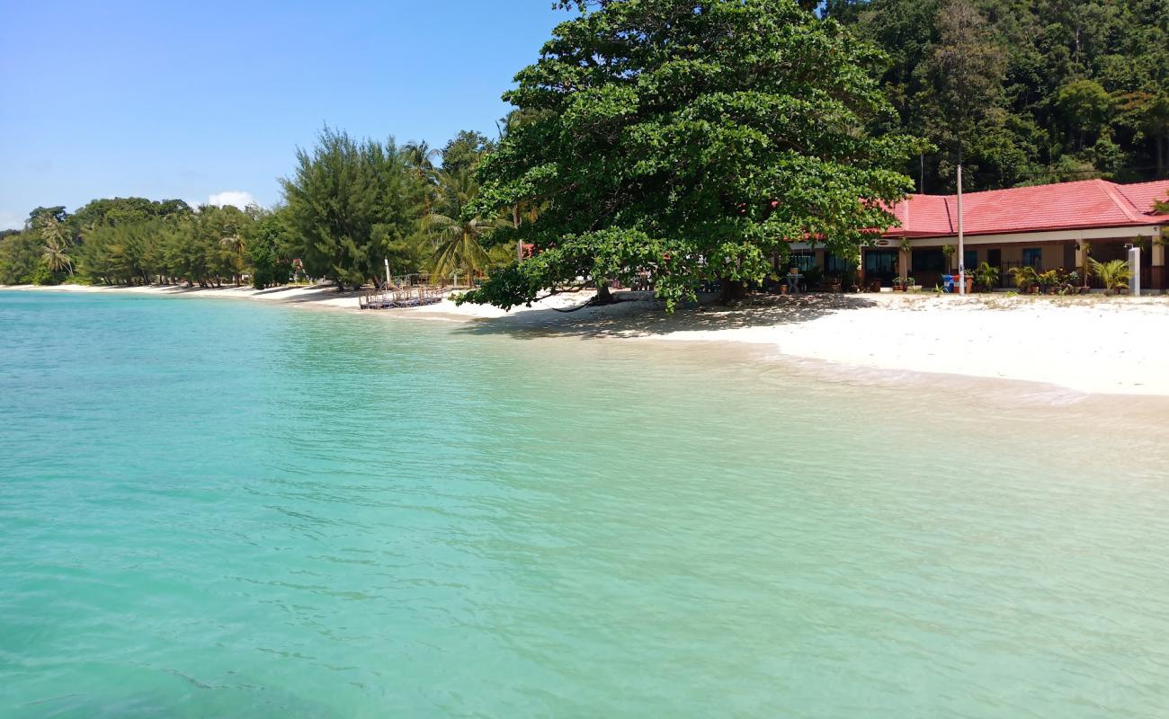 Shaz Resort beach'in fotoğrafı beyaz kum yüzey ile